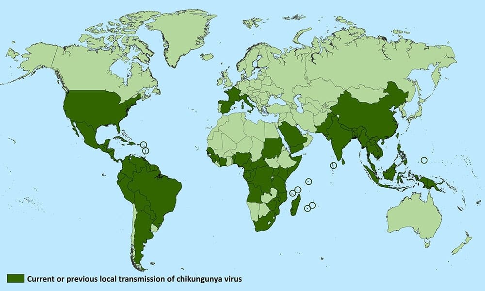 Moustique Les Zones à Risque En France Et Dans Le Monde