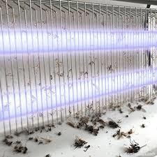 Tue-mouche électrique : l'efficacité sans produit chimique